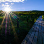 引き寄せ力アップのために！直感を信じて行動してみよう♪