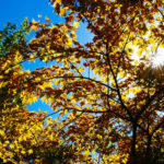 引き寄せの法則「引き寄せ体質になる！今すぐやってほしい３つのこと」